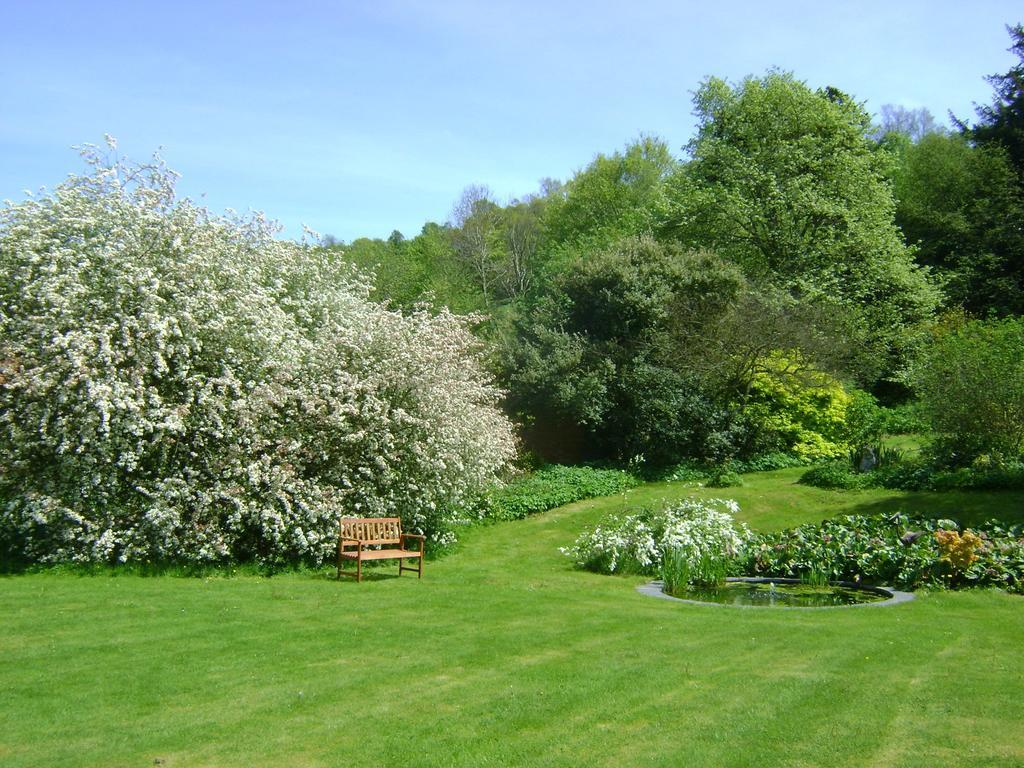The Forest Country House B&B Newtown  Eksteriør bilde