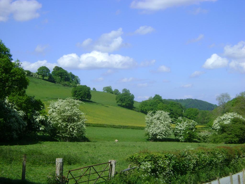 The Forest Country House B&B Newtown  Eksteriør bilde