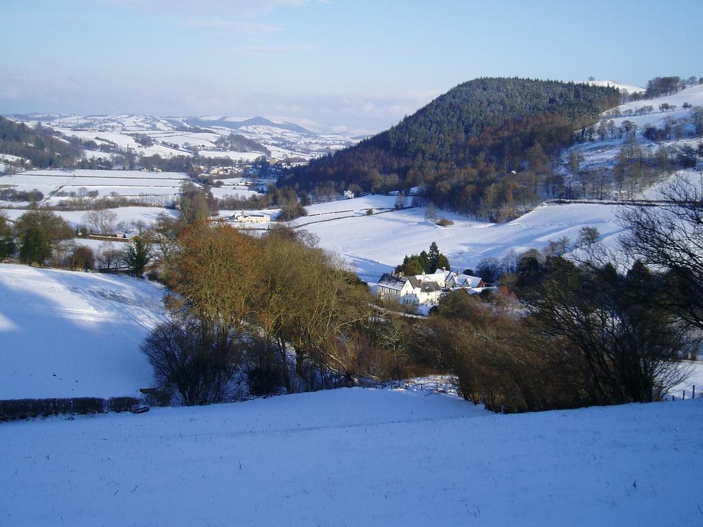 The Forest Country House B&B Newtown  Eksteriør bilde