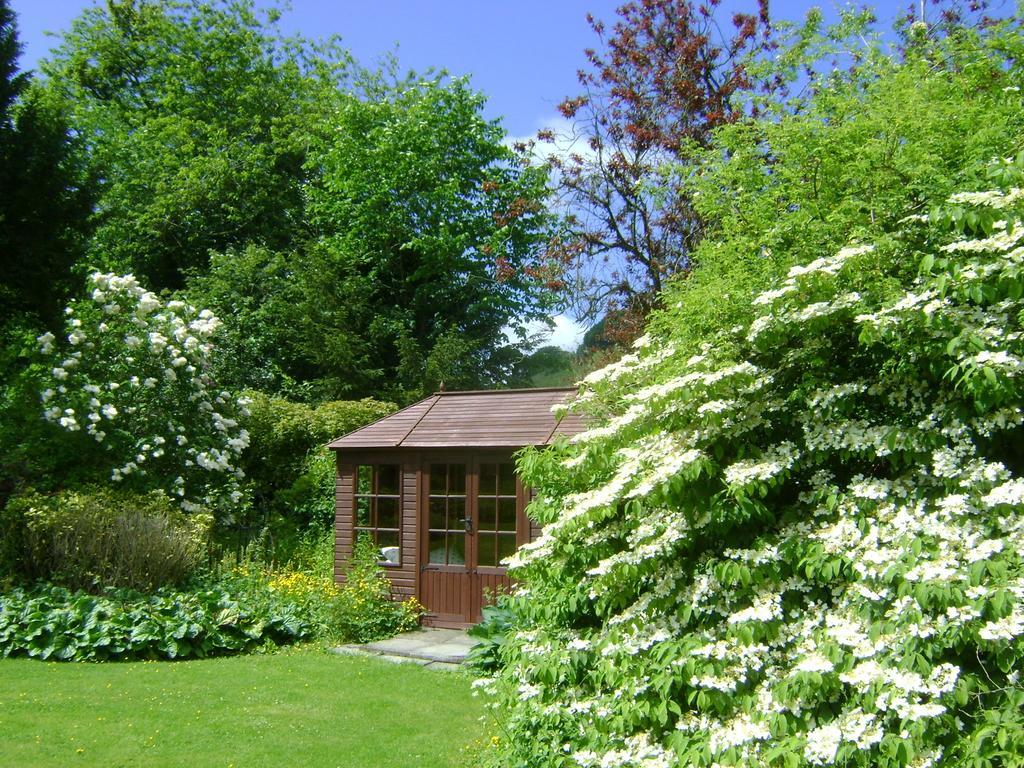 The Forest Country House B&B Newtown  Eksteriør bilde