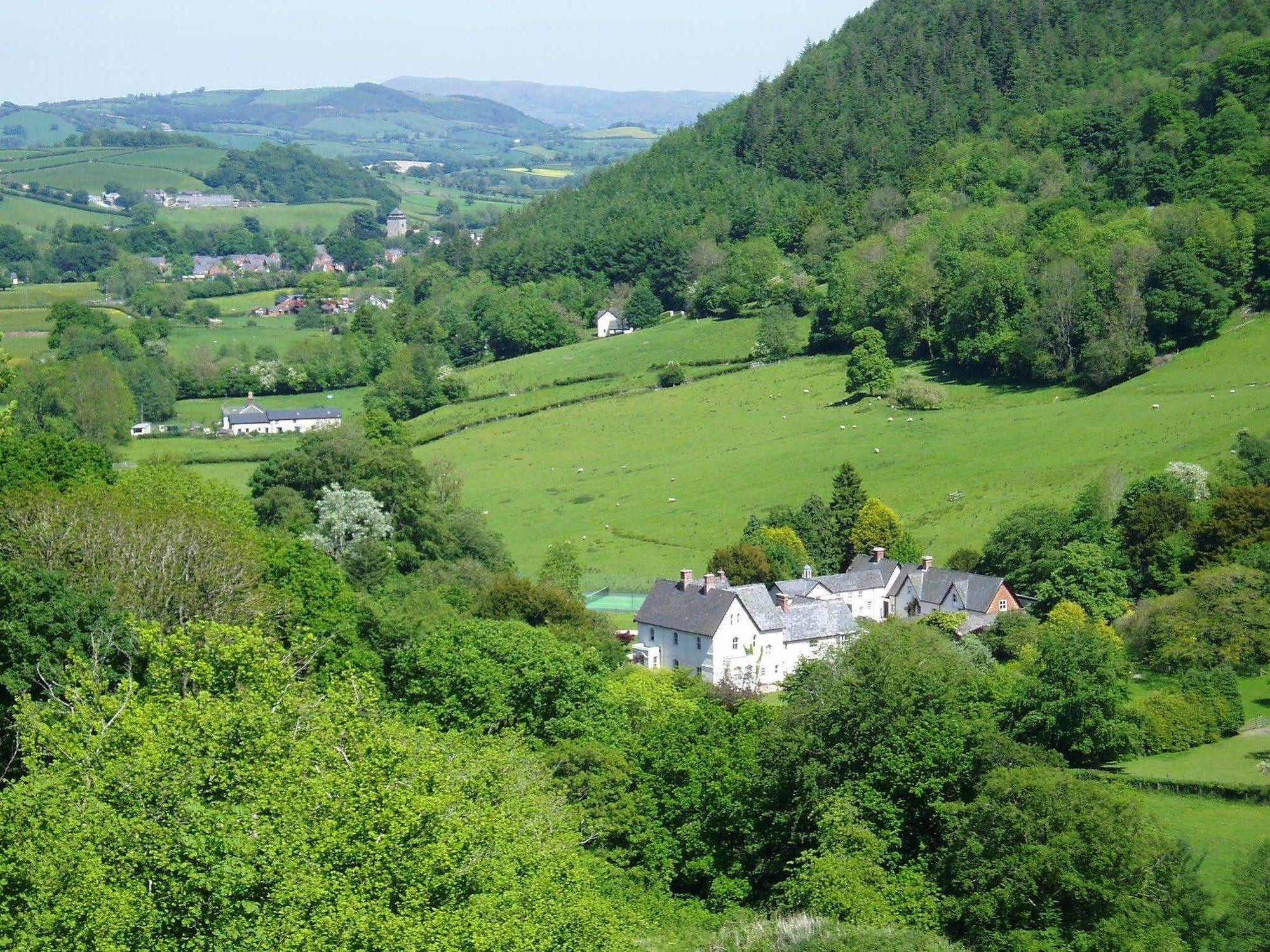 The Forest Country House B&B Newtown  Eksteriør bilde
