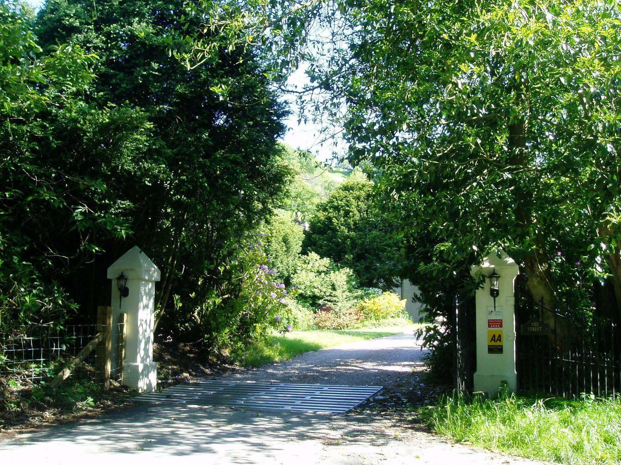 The Forest Country House B&B Newtown  Eksteriør bilde