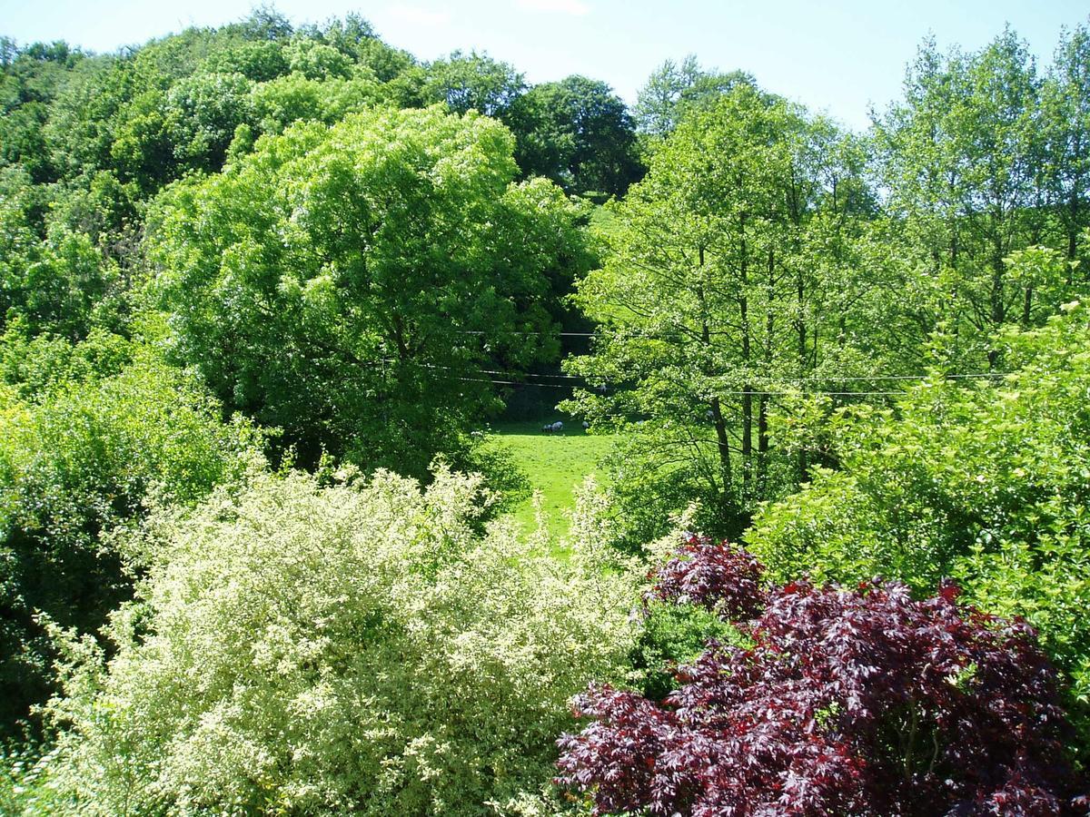 The Forest Country House B&B Newtown  Eksteriør bilde