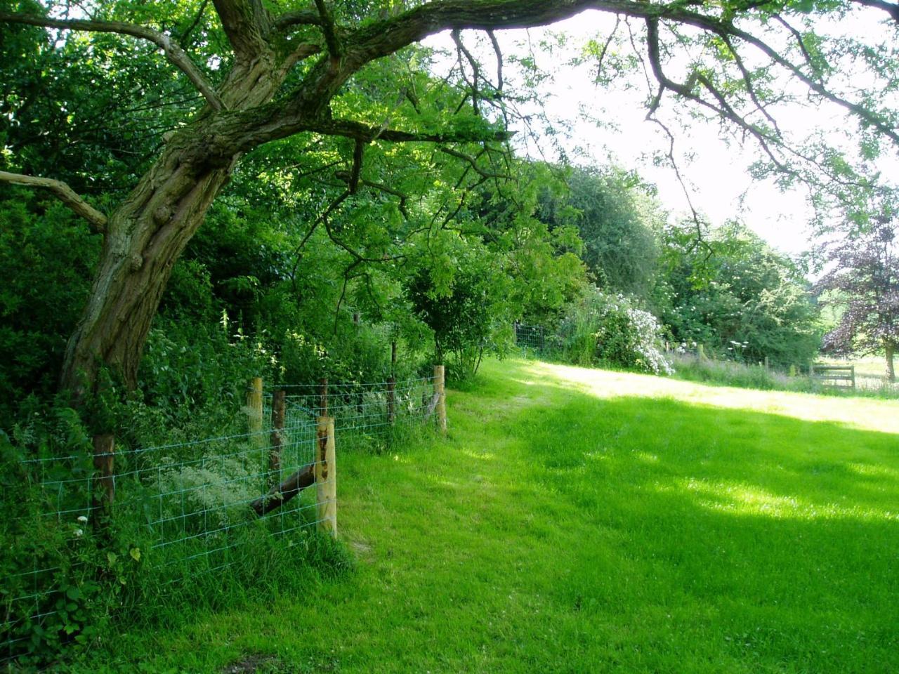 The Forest Country House B&B Newtown  Eksteriør bilde